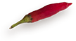 main-slider-shape-7