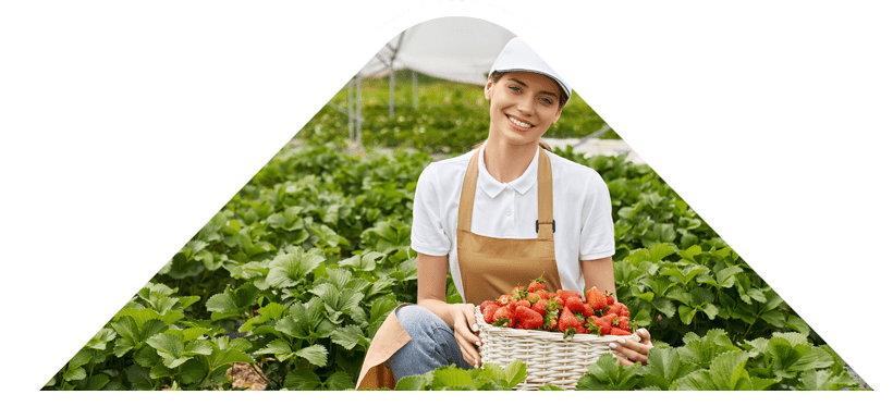 why-choose-one-img-2